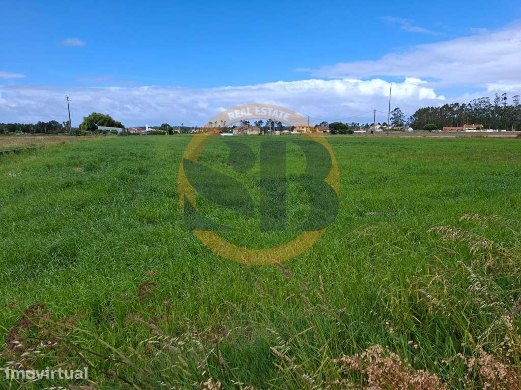 Terreno em Ovar - Grande imagem: 3/14