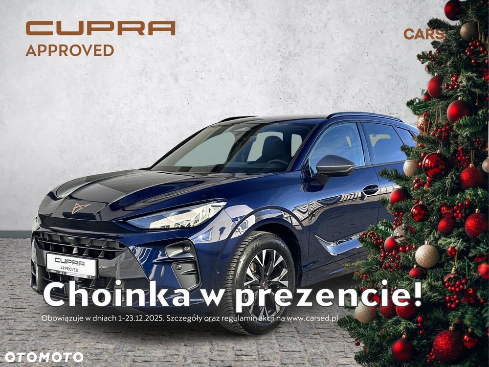 Cupra Terramar - 2