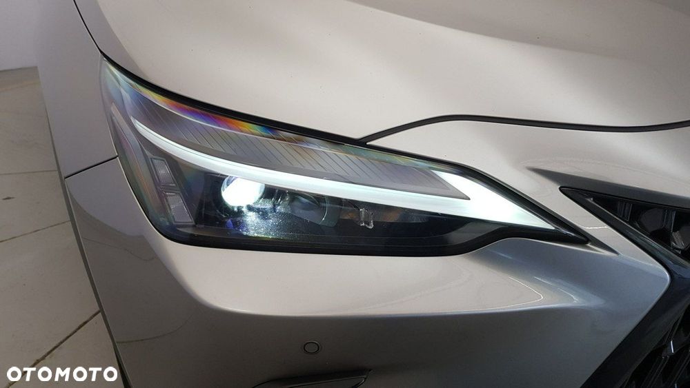 Lexus NX - 10