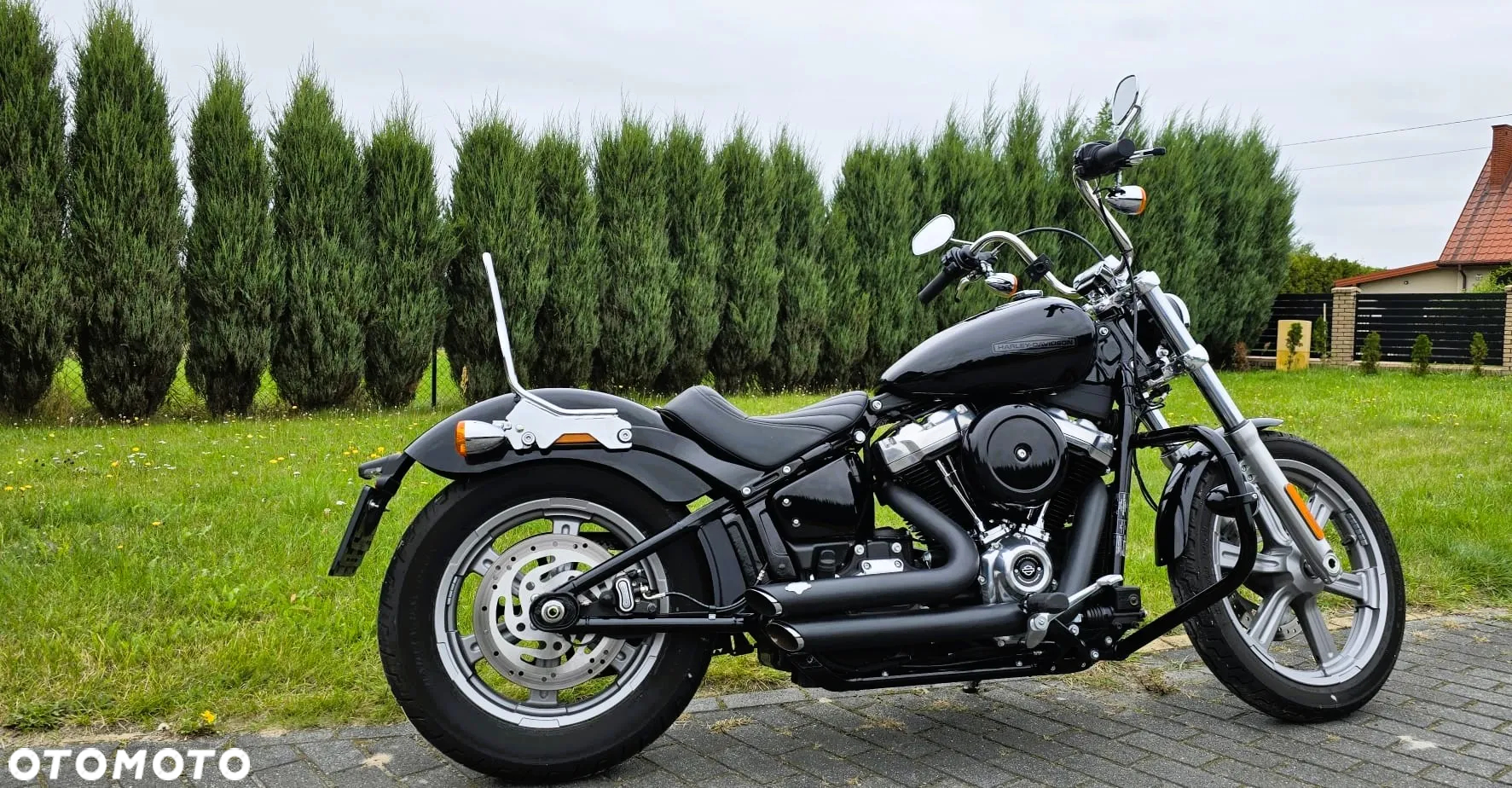 Harley-Davidson Softail Standard - 2