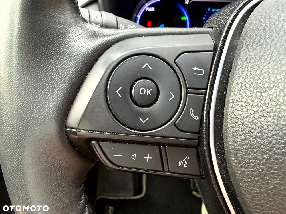 Toyota RAV4 2.5 Hybrid Selection 4x2 - 19