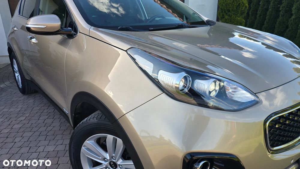 Kia Sportage - 13