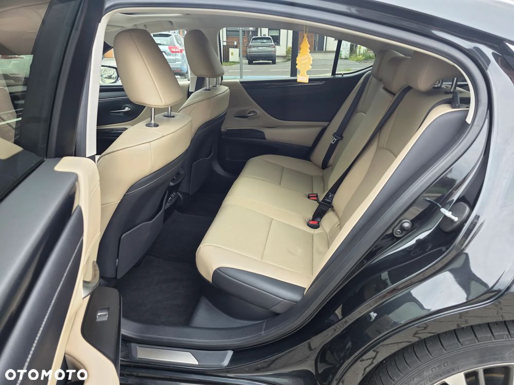 Lexus ES 300h Business Edition + - 19