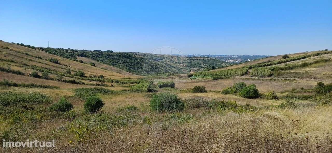 Terreno  para venda - Grande imagem: 2/8