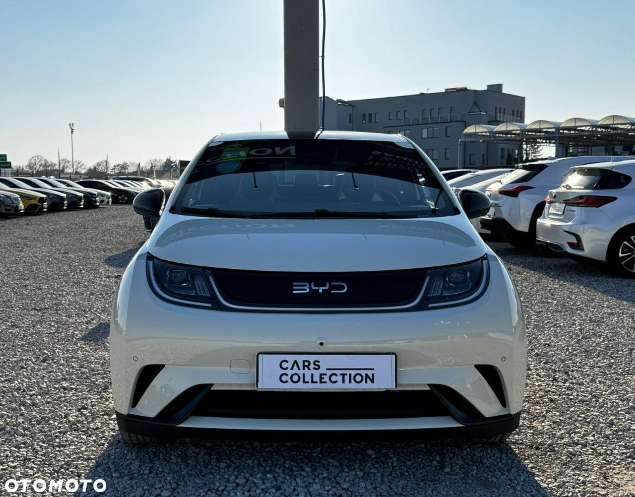 BYD Dolphin Active - 5