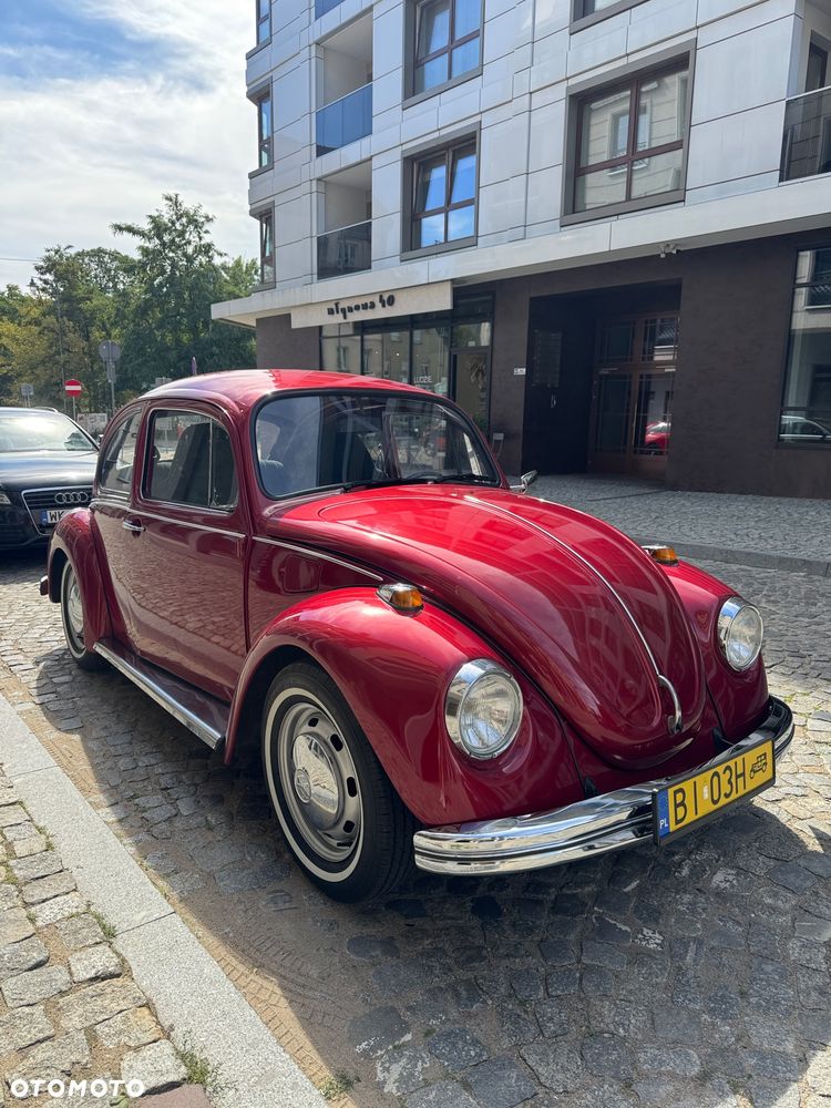 Volkswagen Garbus - 2