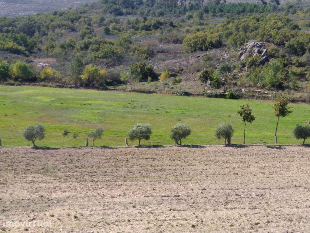 Quinta de 5ha no Coração do Douro - Riodades - Grande imagem: 4/12