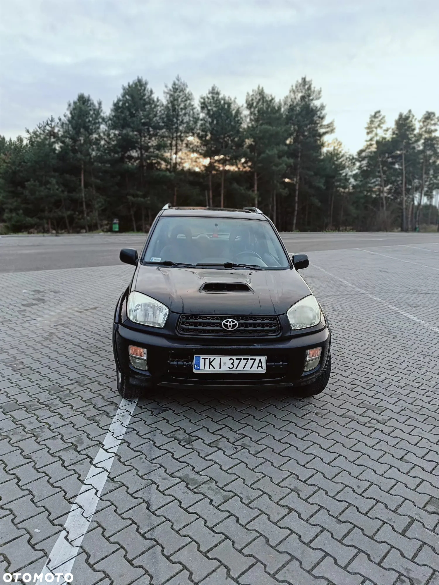 Toyota RAV4 - 16
