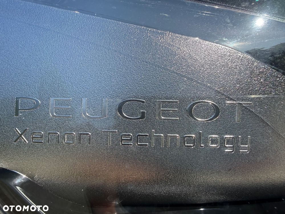 Peugeot Traveller - 29