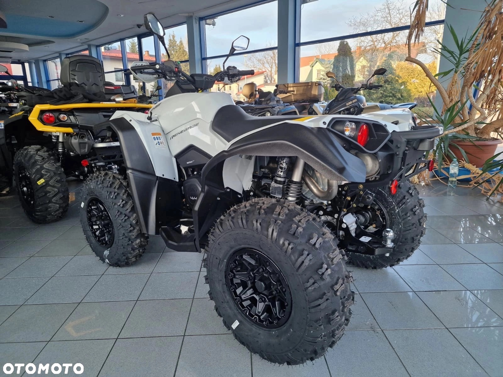 Can-Am Renegade - 4