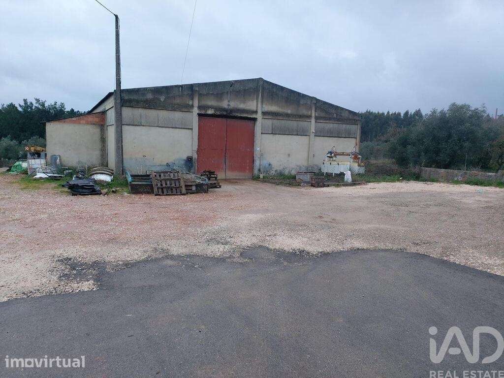 Hangar em Pedreiras de 775,00 m2 - Grande imagem: 2/16