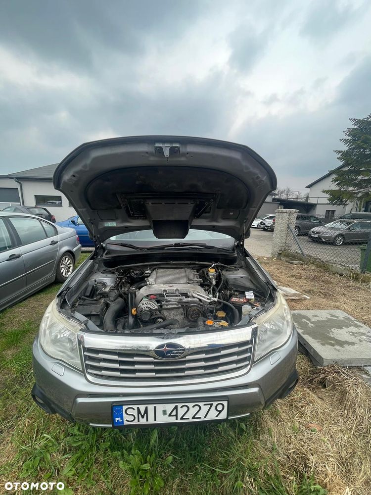 Subaru Forester - 7