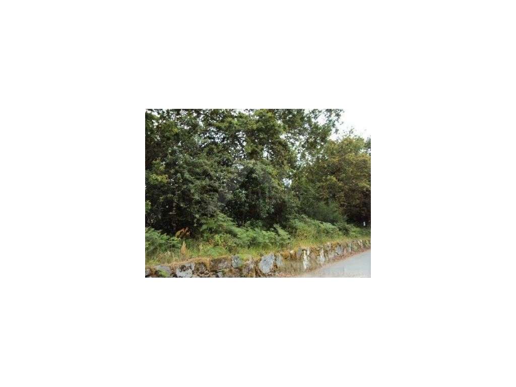 Terreno de construção em Paredes de Coura - Grande imagem: 4/5