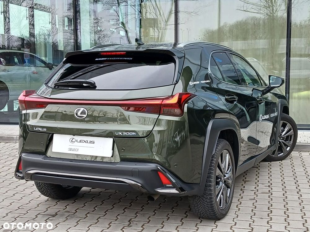 Lexus UX 300h F Sport Design - 12