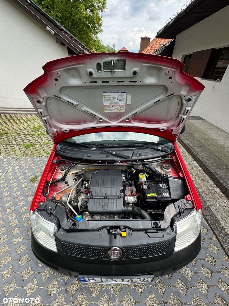 Fiat Panda 1.2 Active Eco - 19
