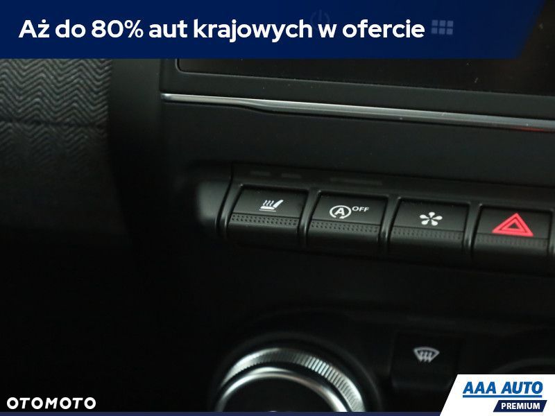 Renault Clio - 13