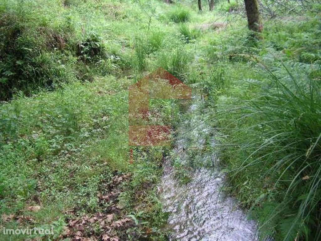 Terreno, Valdreu - Grande imagem: 3/14