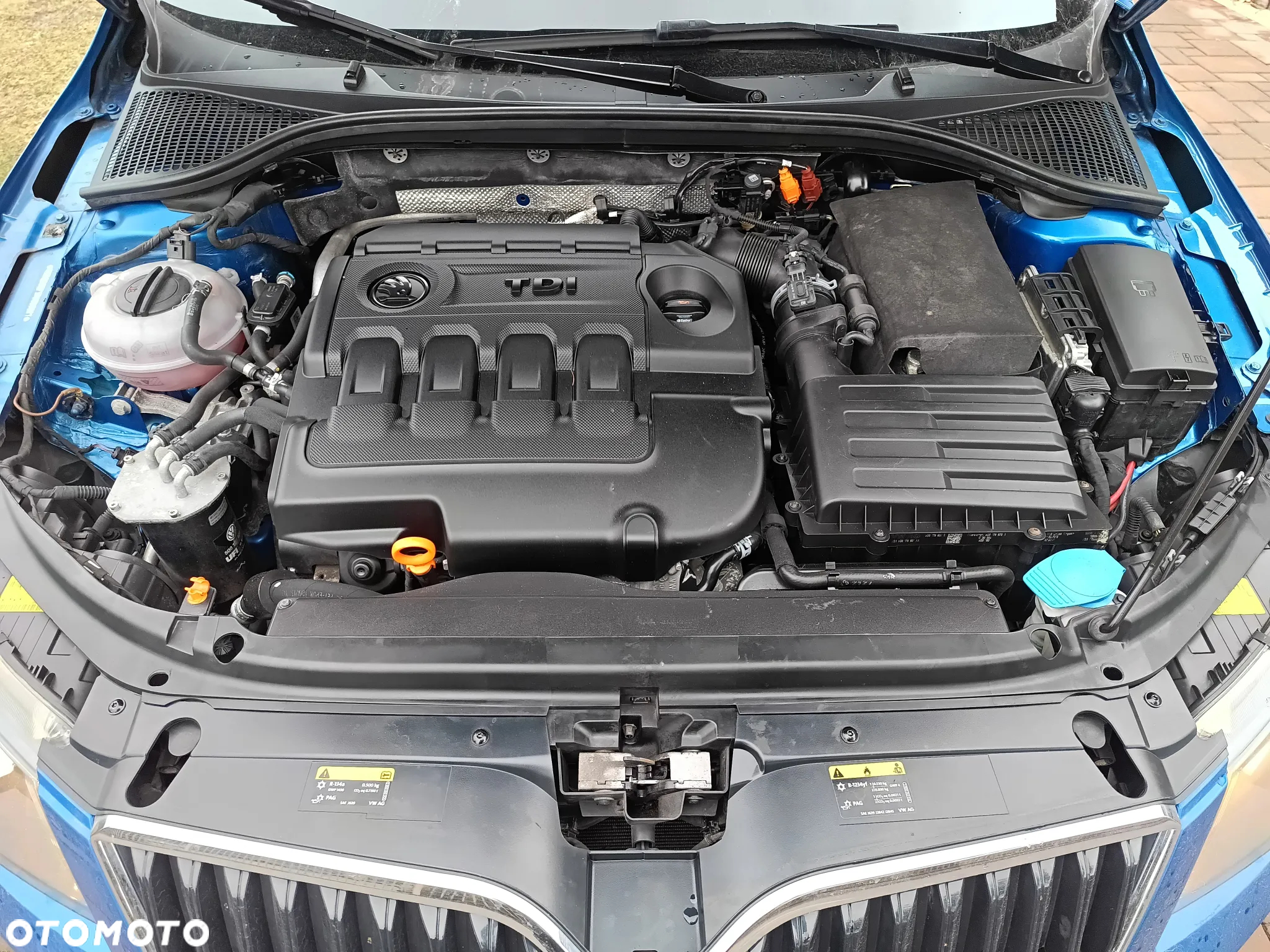 Skoda Octavia 1.6 TDI DPF Ambiente - 14