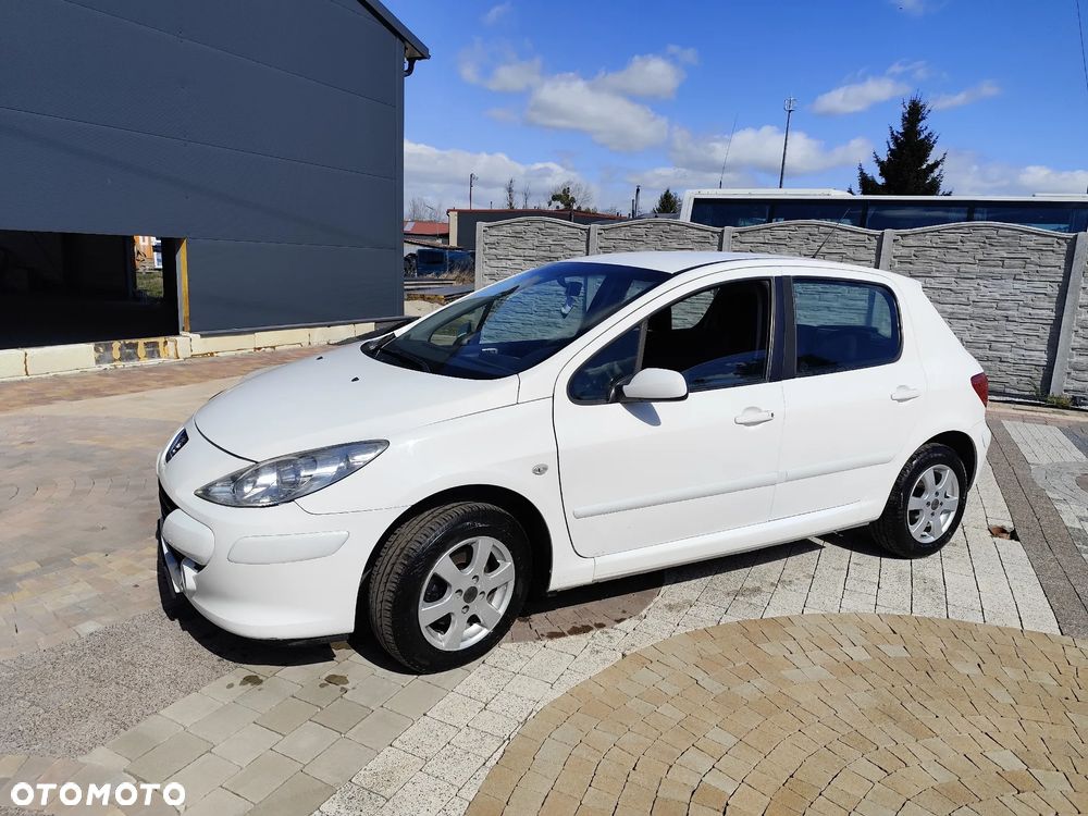 Peugeot 307 1.6 HDI Trendy - 12