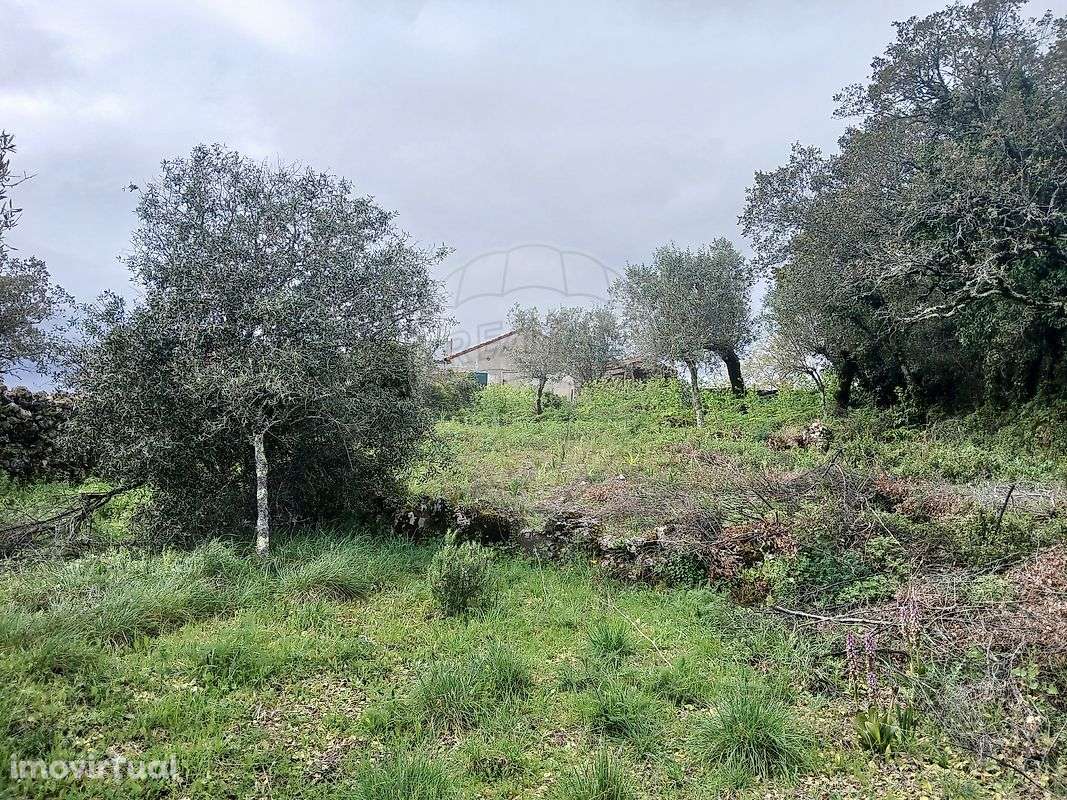 Terreno  para venda - Grande imagem: 2/10