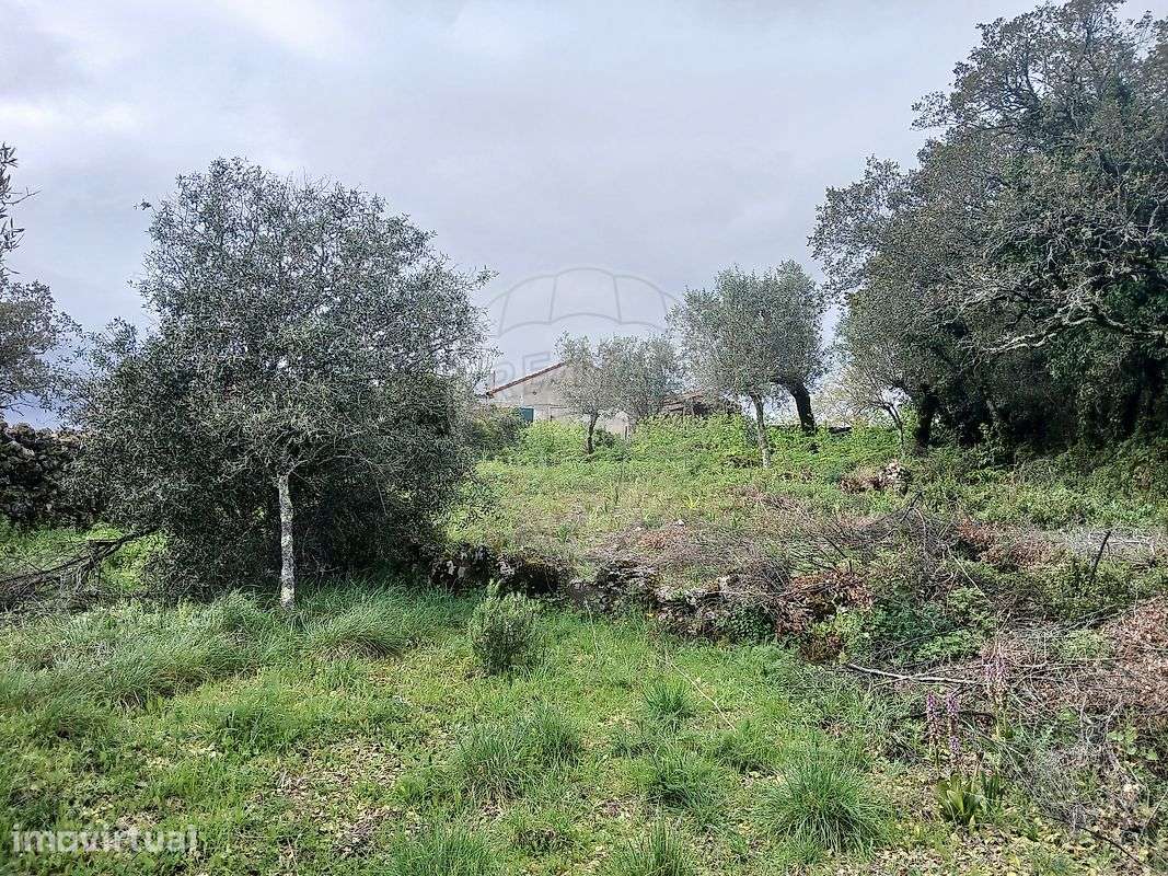 Terreno  para venda - Grande imagem: 2/10