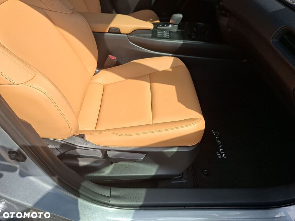Lexus UX 300h F Sport Design - 19