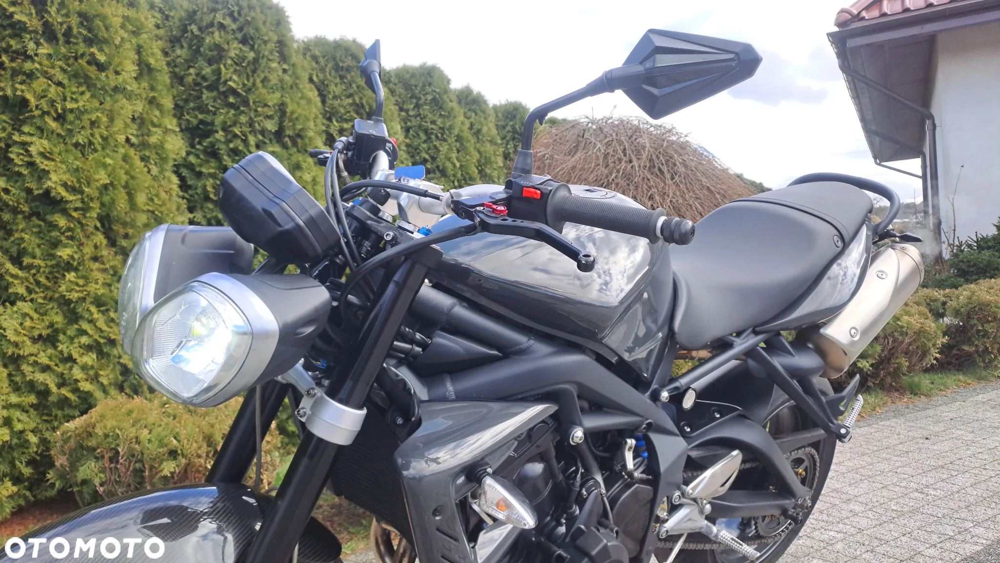 Triumph Speed Triple - 21