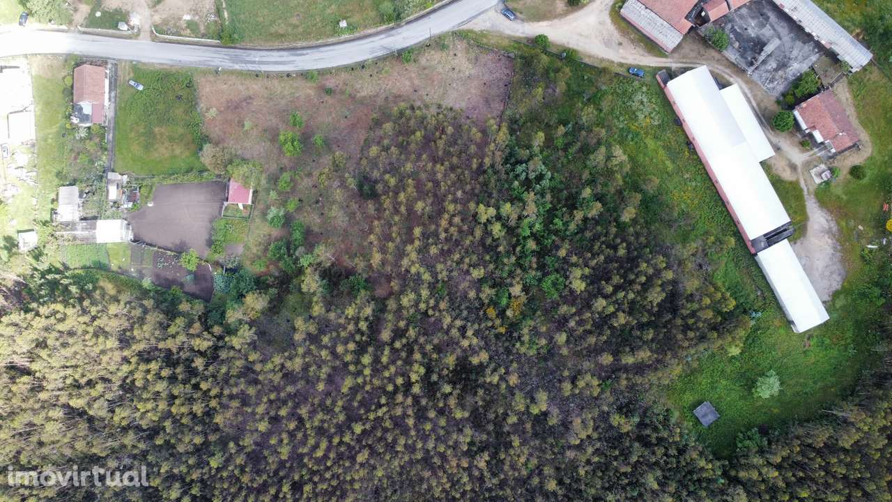 Terreno - Oliveira de Frades - Grande imagem: 3/18