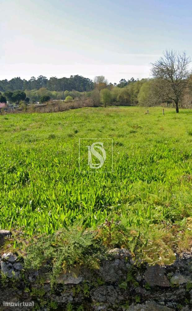 Terreno  Venda em Barroselas e Carvoeiro,Viana do Castelo - Grande imagem: 4/11