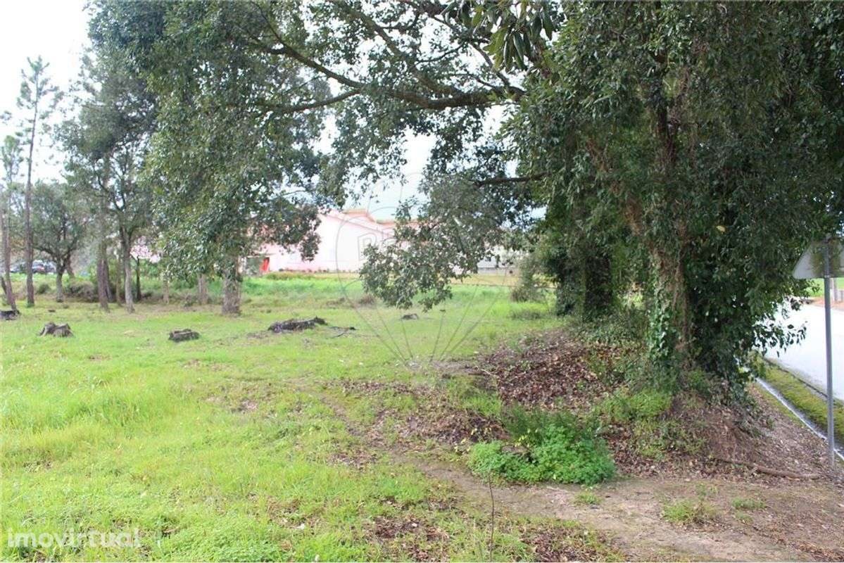 Terreno  para venda - Grande imagem: 2/12