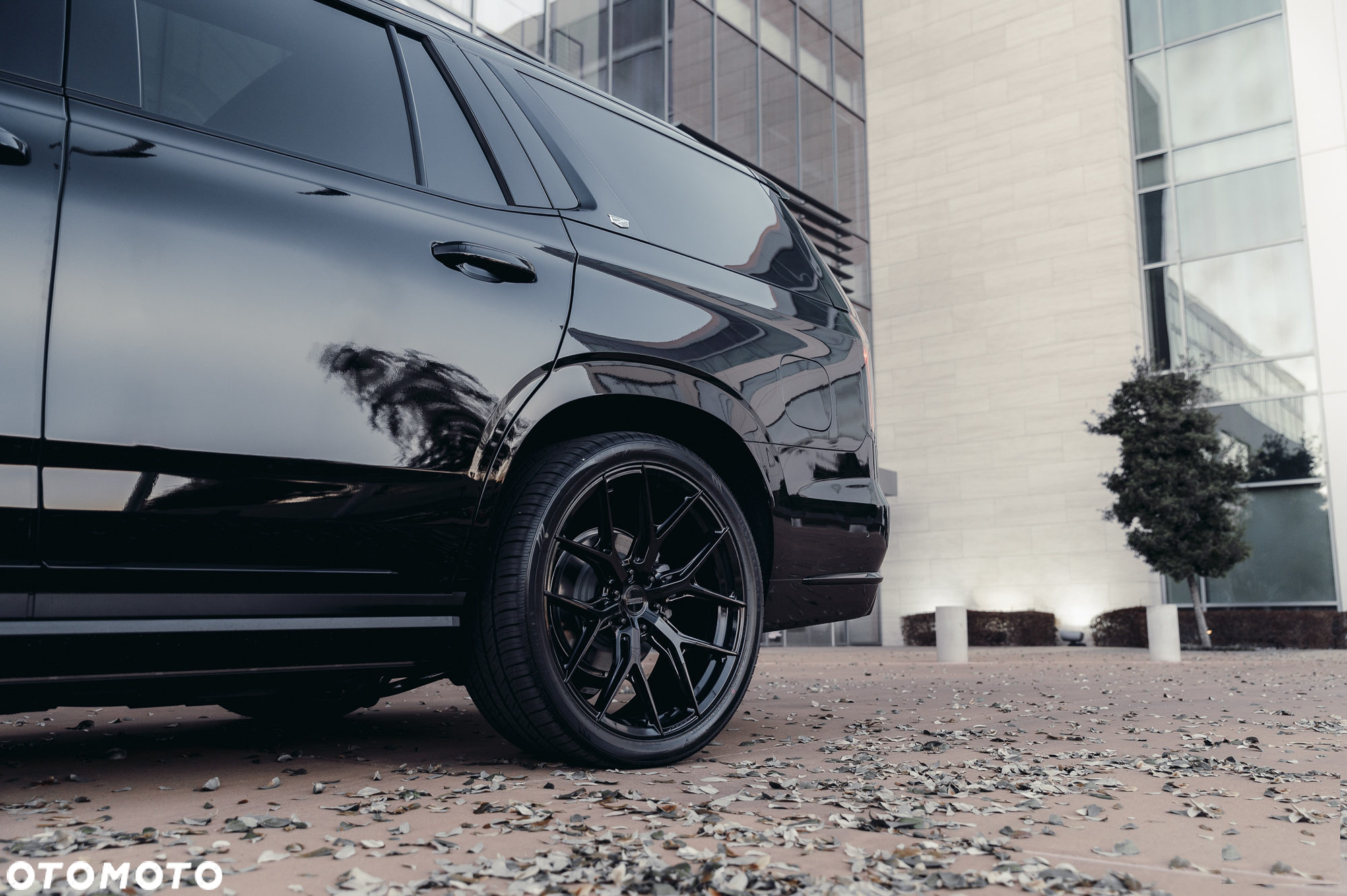 Cadillac Escalade - 12