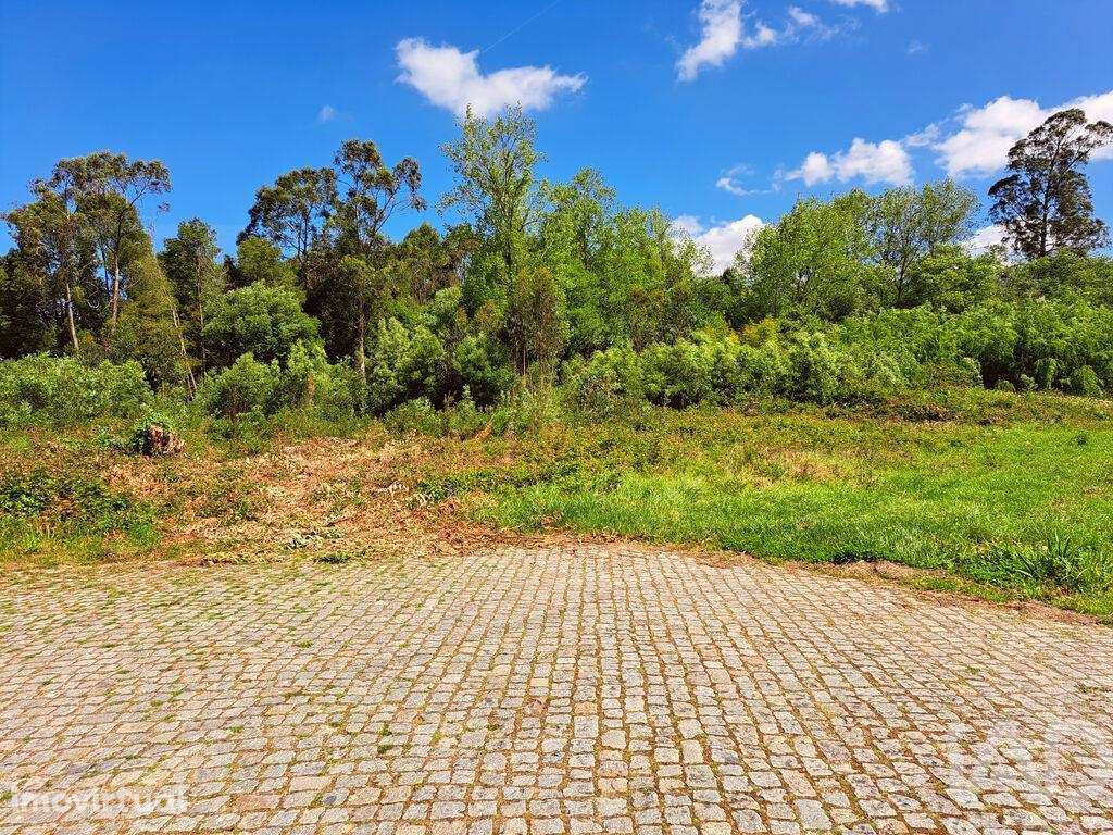 Terreno Agrícola em Cortegaça - Grande imagem: 3/5