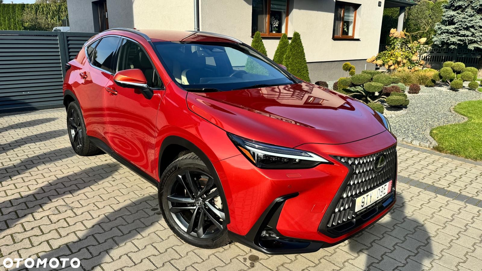 Lexus NX - 3