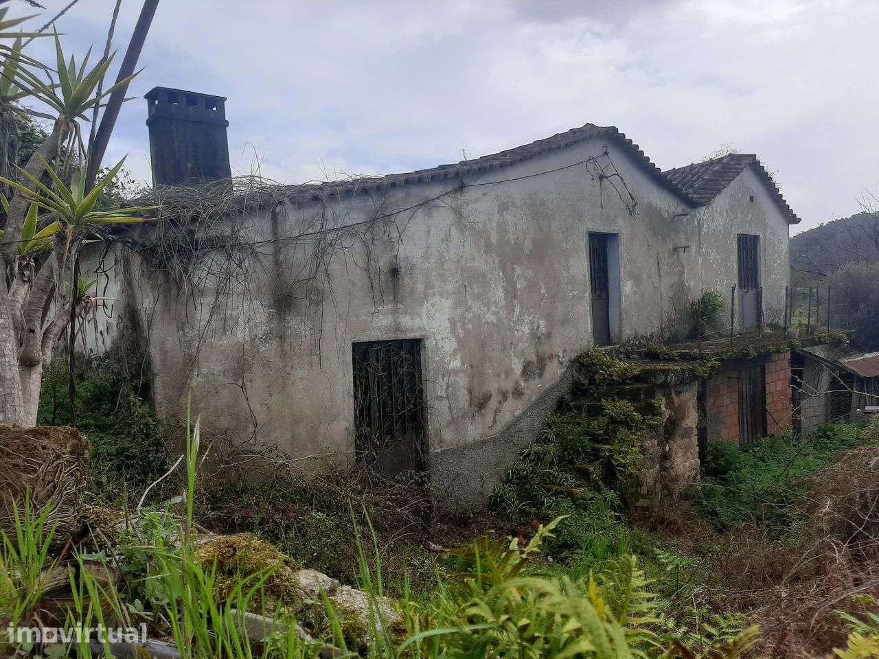 Quinta com 10.500m2 de terreno. - Grande imagem: 4/18