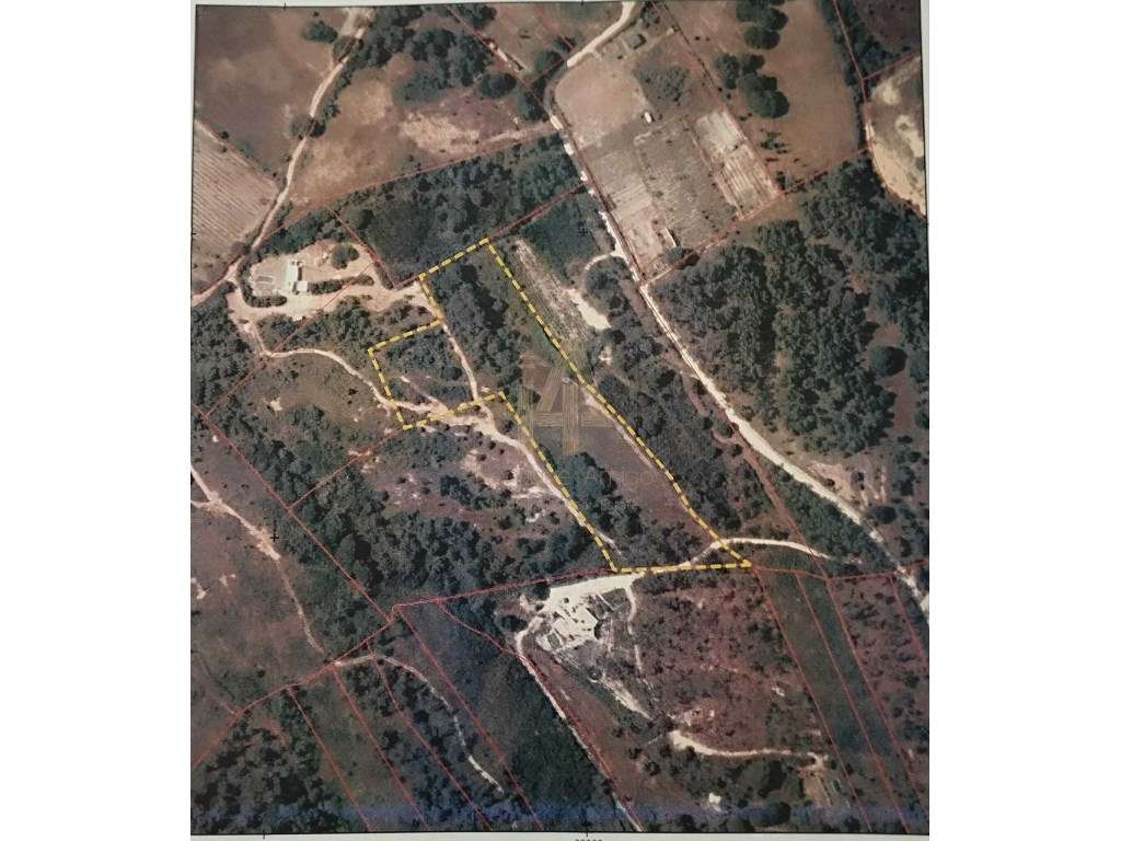 Terreno em Sesimbra (Castelo) - Grande imagem: 2/7