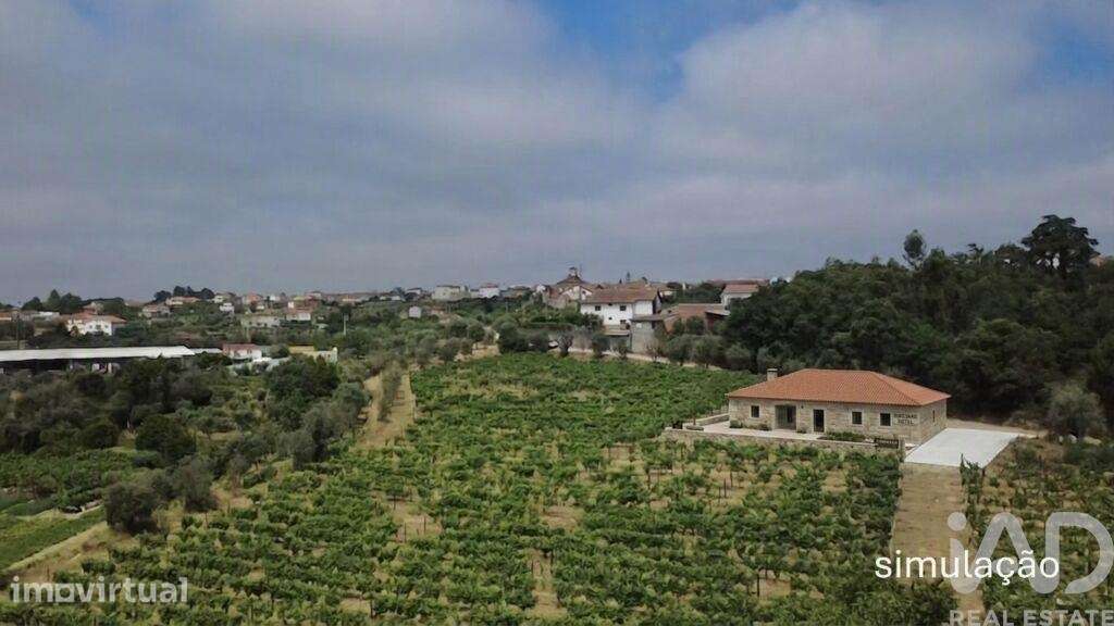 Quinta agricola em Carvalhal Redondo e Aguieira de 52600 m2 - Grande imagem: 4/31
