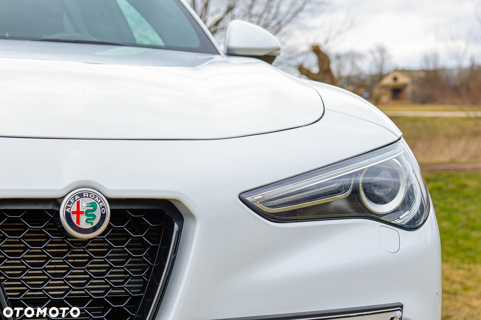 Alfa Romeo Stelvio - 2