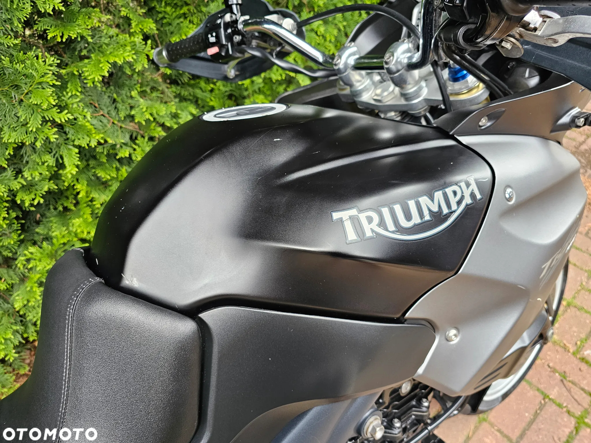 Triumph Tiger - 8