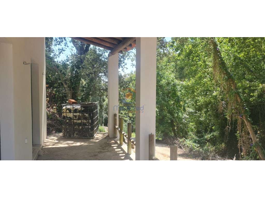 Quintinha 4.500m2 | Casais Brancos, Alenquer - Grande imagem: 2/8