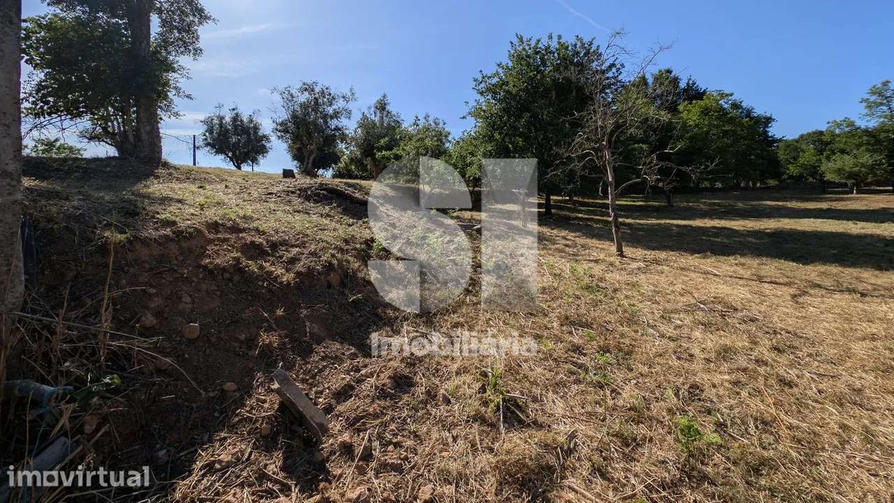 Terreno a ser transformado em Quinta - Grande imagem: 3/11