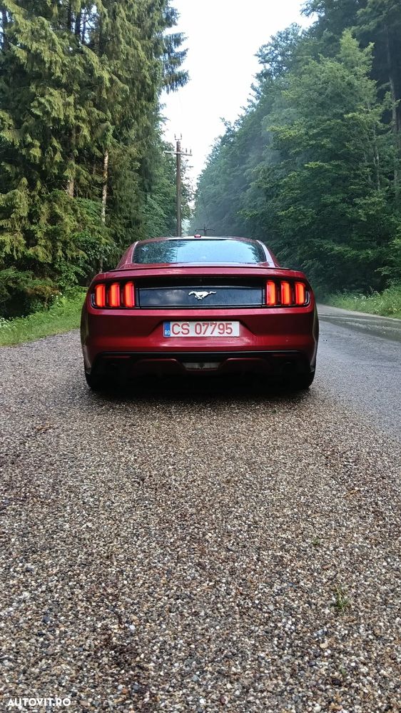 Ford Mustang 2.3 EcoBoost Aut. - 14