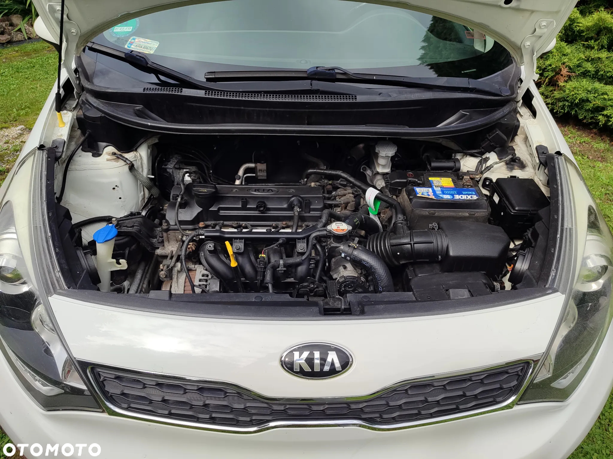Kia Rio - 5