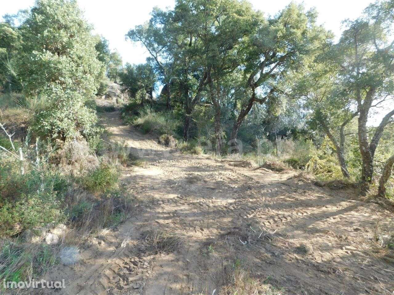 Terreno Rústico / Fundão, Pêro Viseu - Grande imagem: 4/8