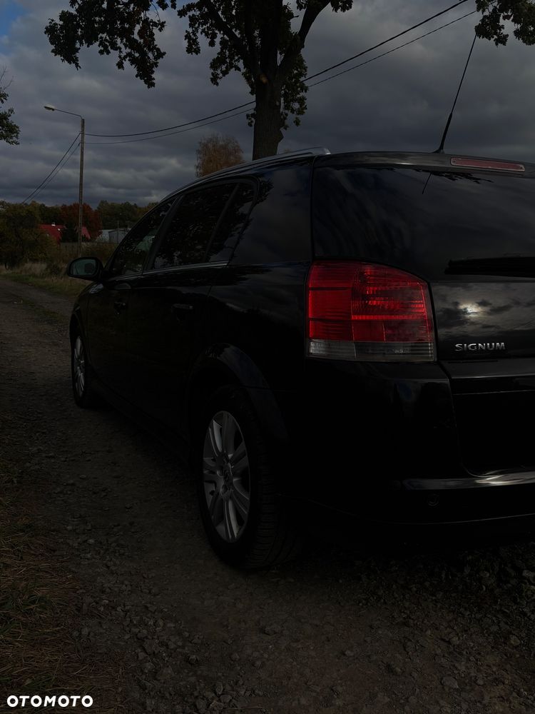 Opel Signum 2006 photo 4