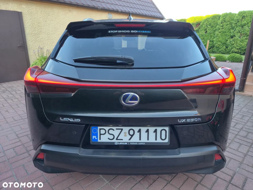 Lexus UX 250h Prestige AWD - 9