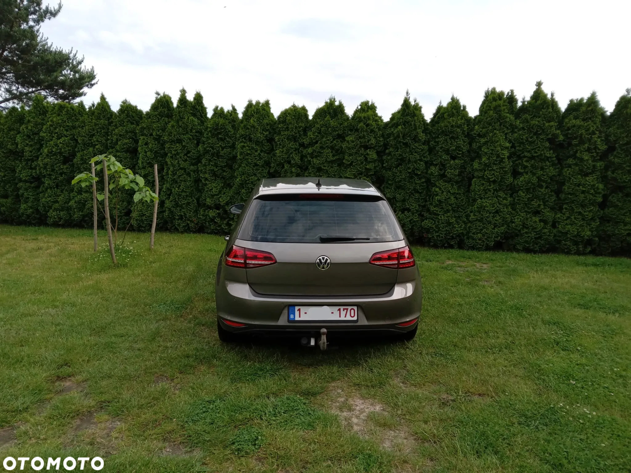 Volkswagen Golf VII 1.6 TDI BMT Highline DSG - 5