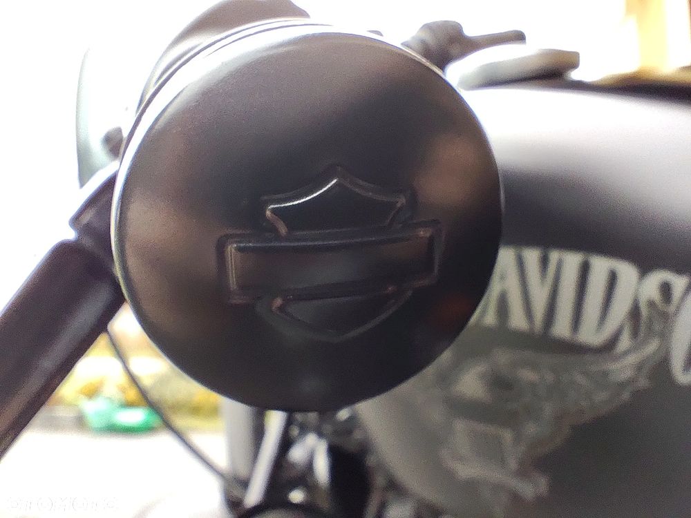 Harley-Davidson Sportster Iron 883 - 33