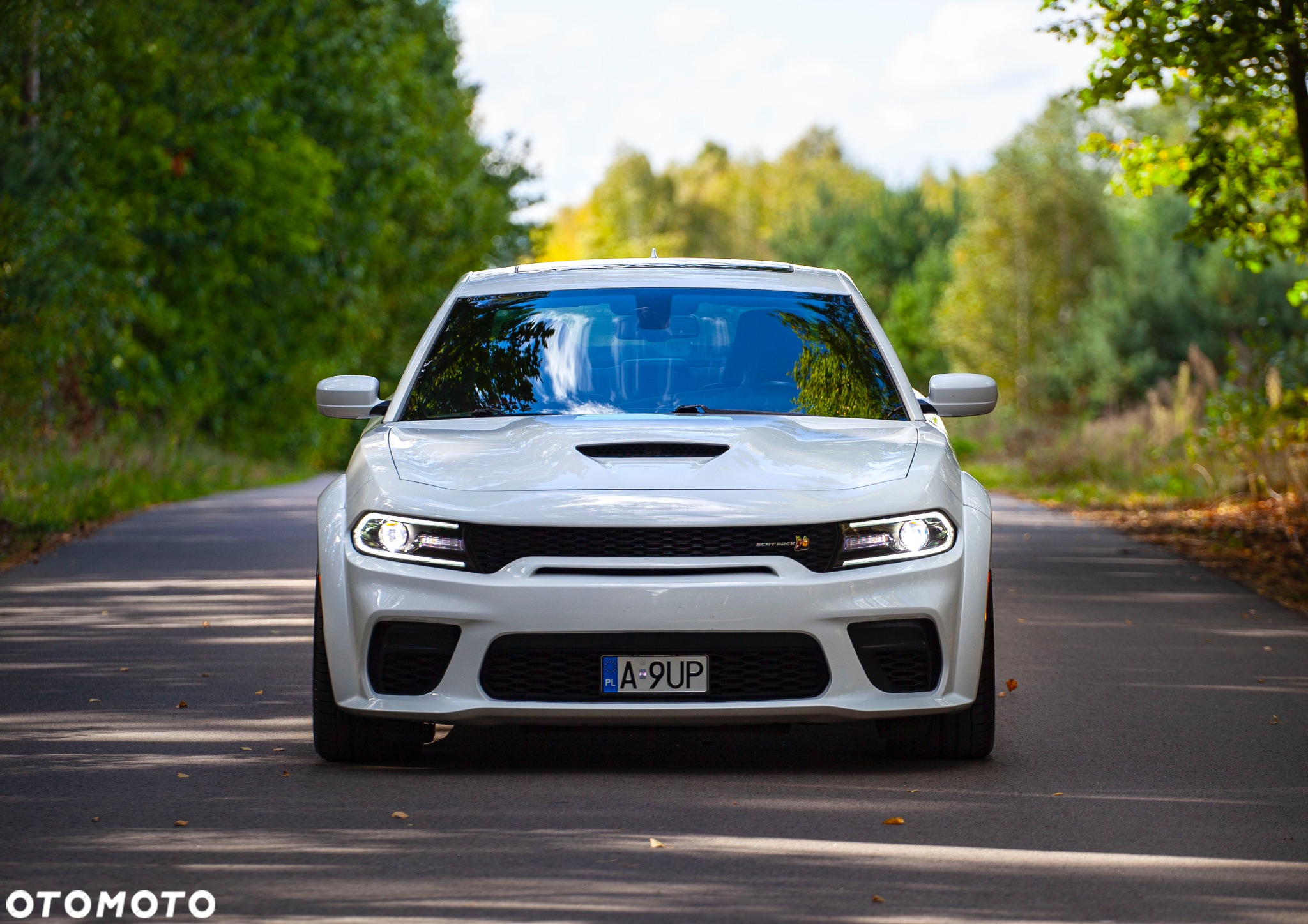 Dodge Charger 6.4 Scat Pack Widebody - 2