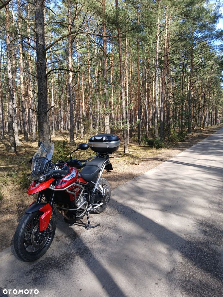 Triumph Tiger - 6