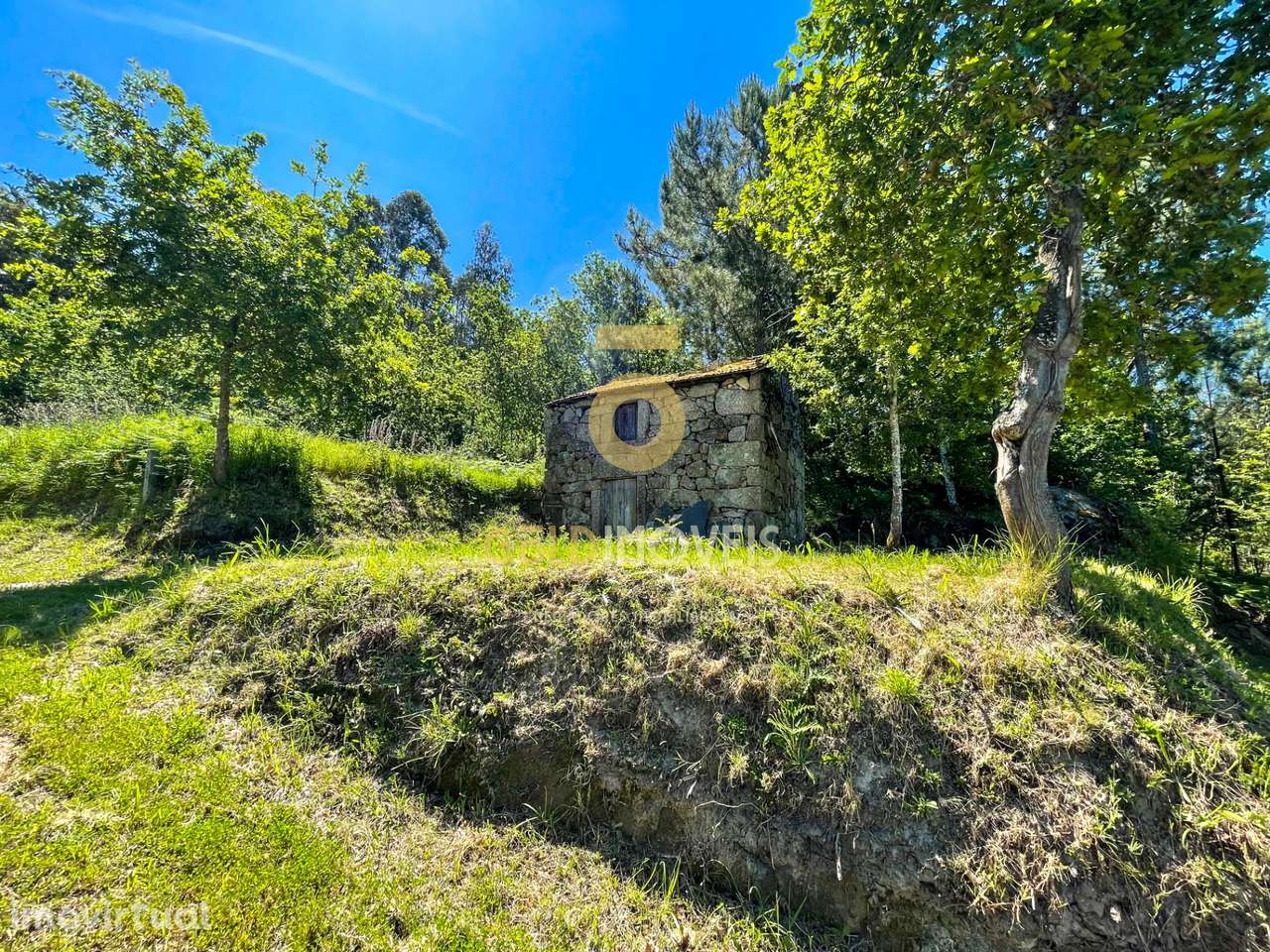 Terreno Rústico  Venda em Moimenta,Cinfães - Grande imagem: 4/16